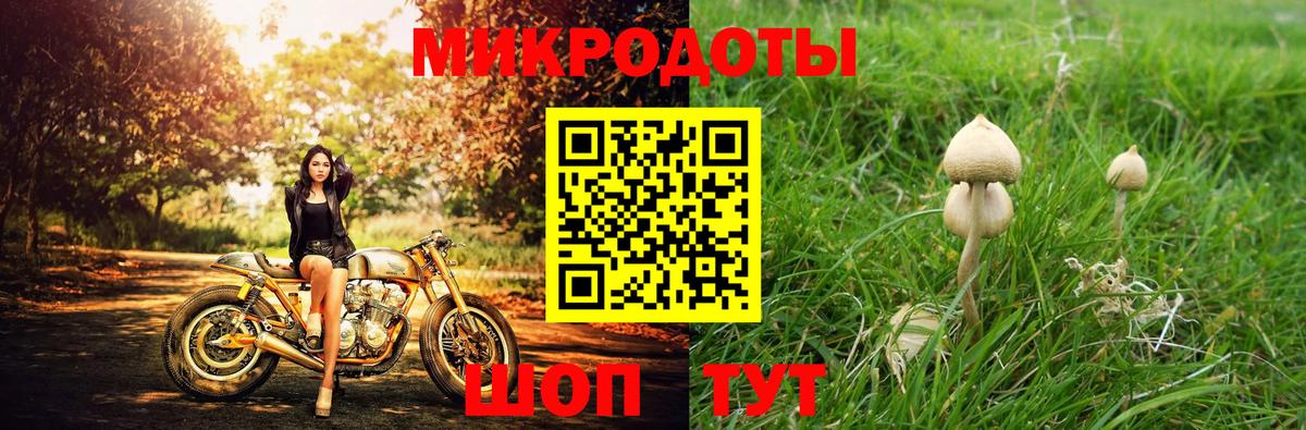 Менделеевск  Галлюциногенные грибы MAGIC MUSHROOMS  Вход с VPN  Галлюциногенные грибы Magic Shrooms 